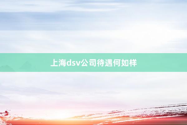 上海dsv公司待遇何如样