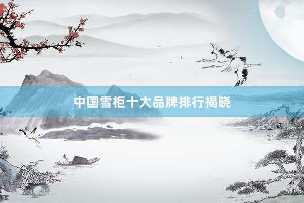 中国雪柜十大品牌排行揭晓