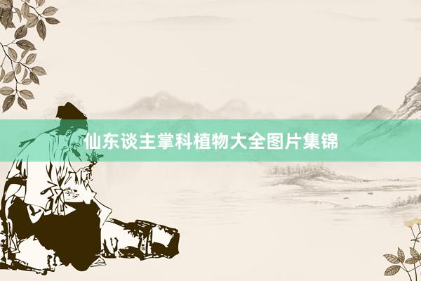 仙东谈主掌科植物大全图片集锦